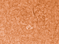 20210610_AR12832_JWH_img4.png