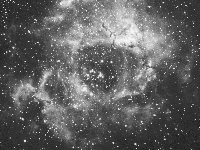 nebulae/19941201_NGC2237_RP.gif