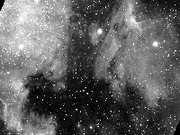 nebulae/19960727_NGC7000_RP.png