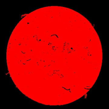 20260305_Sun_sketch_ANM.jpg