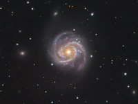 galaxies/20220402_M100_LRGB_JWH.png