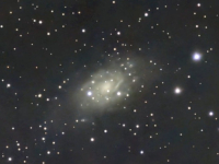 galaxies/20250408_NGC2403_ANM.jpg