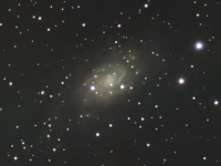 galaxies/20250411_NGC2403_ANM.jpg