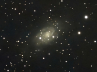 galaxies/20250411_NGC2403_PJW.jpg