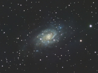 galaxies/20250415_NGC2403_SM.jpg