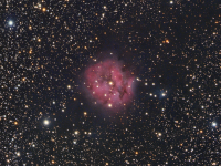 nebulae/20210907_IC5146_JWH.png