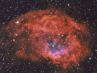 nebulae/20220120_Sh2-261_JWH.png