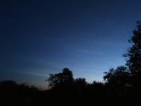 20190710_NC_ANM_0034.jpg