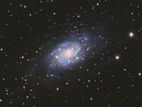galaxies/20260406_NGC2403_SM.jpg